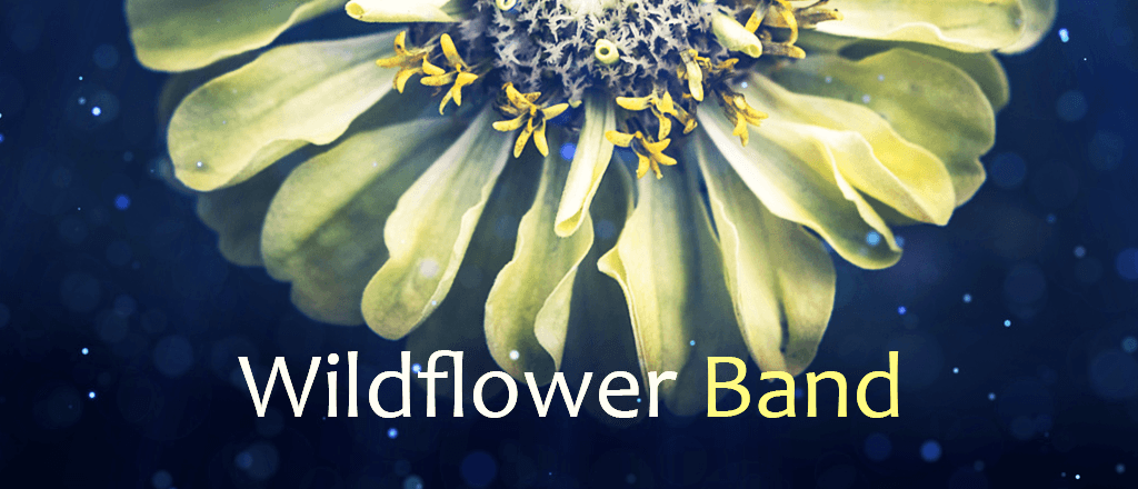 Wildflower Band